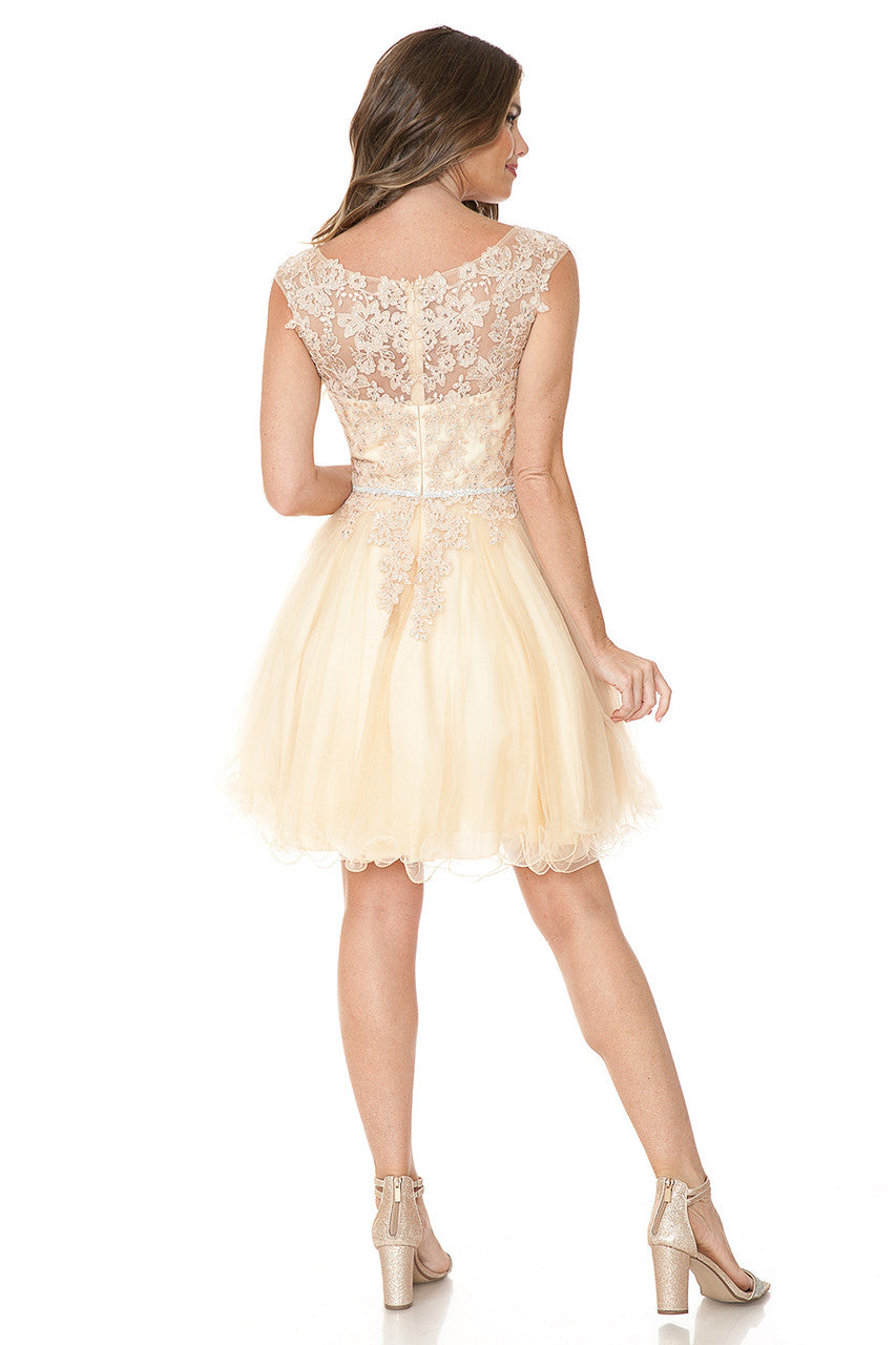 Short Cap Sleeve Ruffled Dress by Lenovia 8177 - product image 2