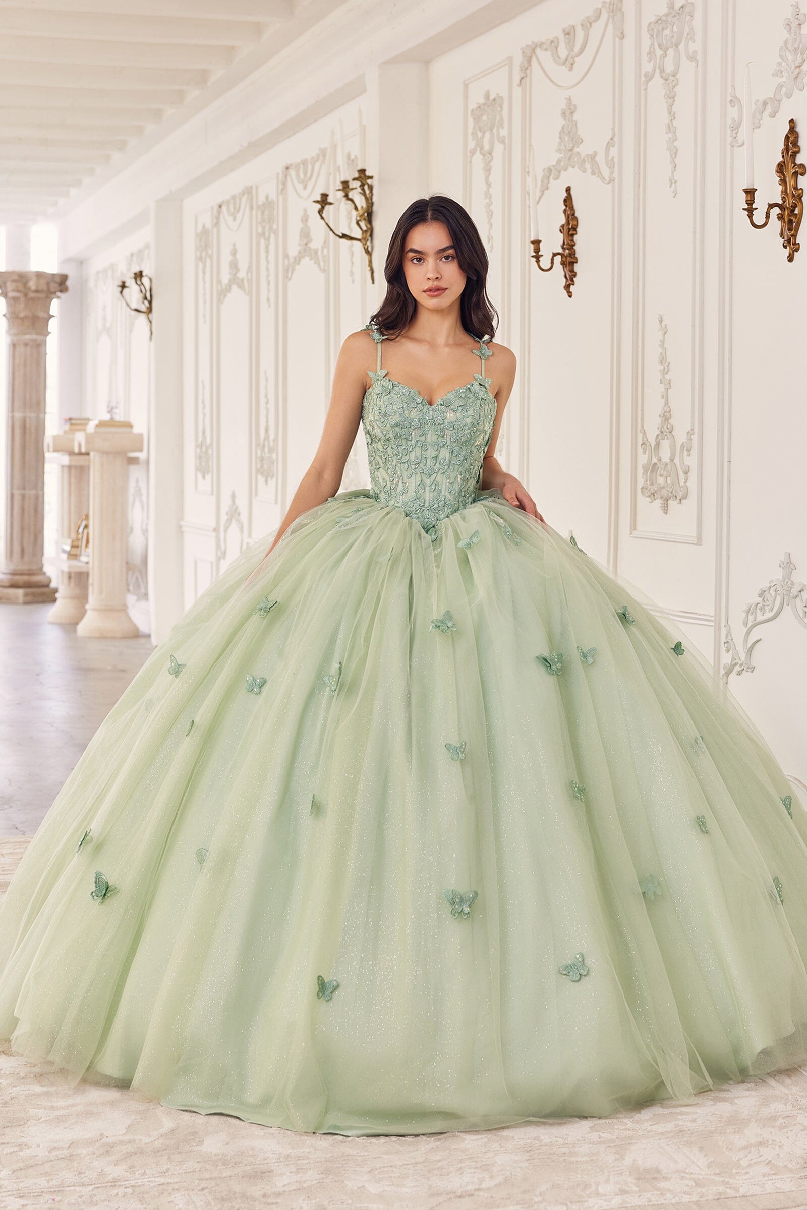 3D Butterfly Applique Sleeveless Ball Gown by Ladivine 15718 - product image 5