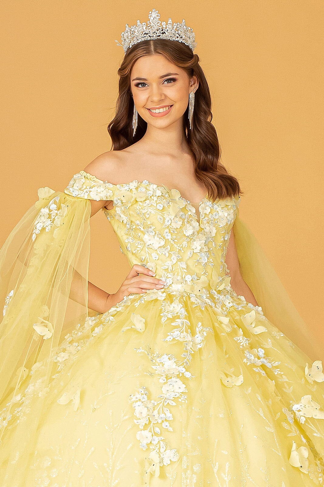 3D Butterfly Cape Sleeve Ball Gown by Elizabeth K GL3111 - product image 9