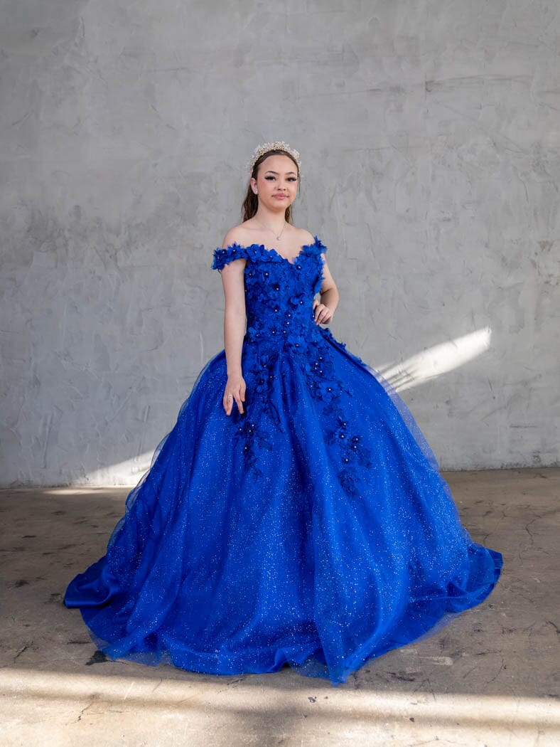 3D Floral Off Shoulder Ball Gown by Calla WB-21551 - product image 17