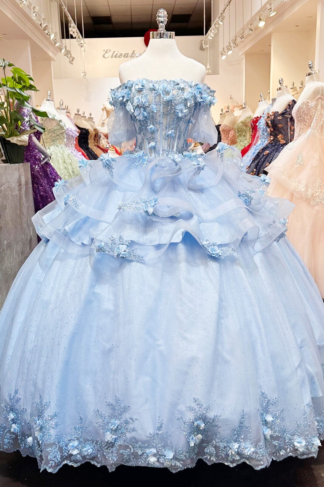 3D Floral Sheer Bodice Ball Gown by Elizabeth K GL3180 - product image 18