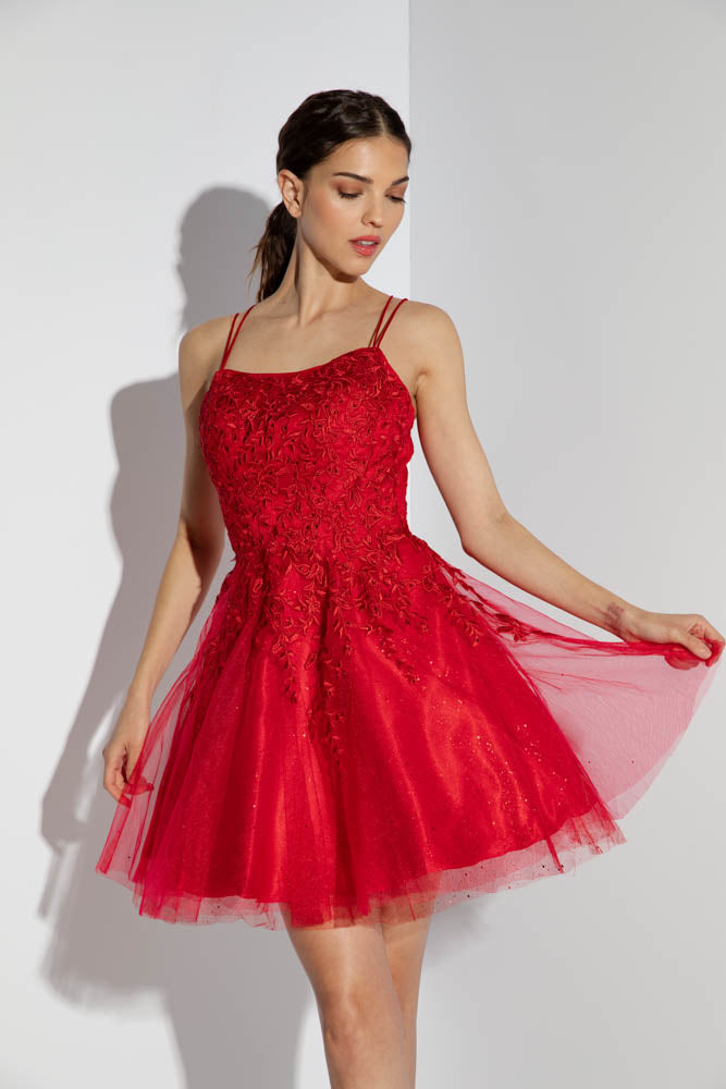 Applique Short Sleeveless A-line Dress by Eureka 9727 - product image 6