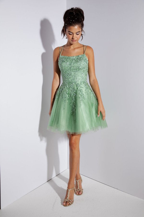 Applique Short Sleeveless A-line Dress by Eureka 9727 - product image 1