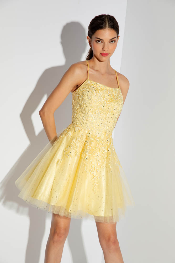 Applique Short Sleeveless A-line Dress by Eureka 9727 - product image 4