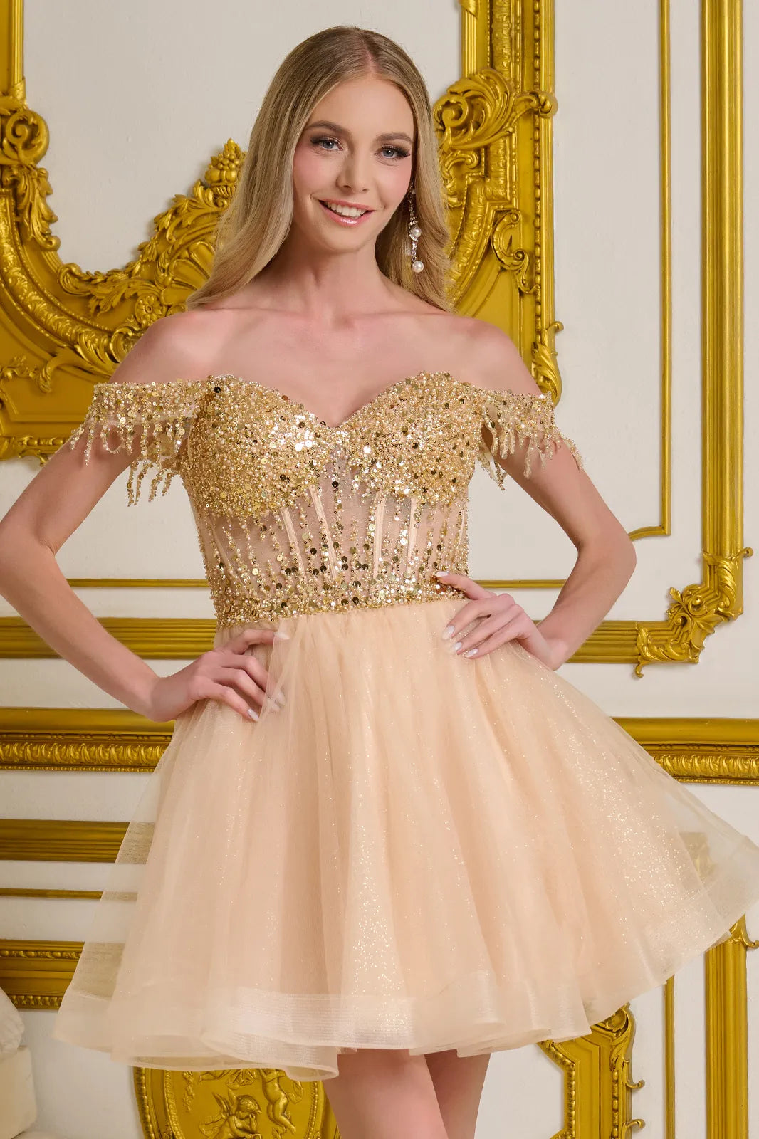 Short Off Shoulder Fringe Dress by Elizabeth K GS3634 - product image 15