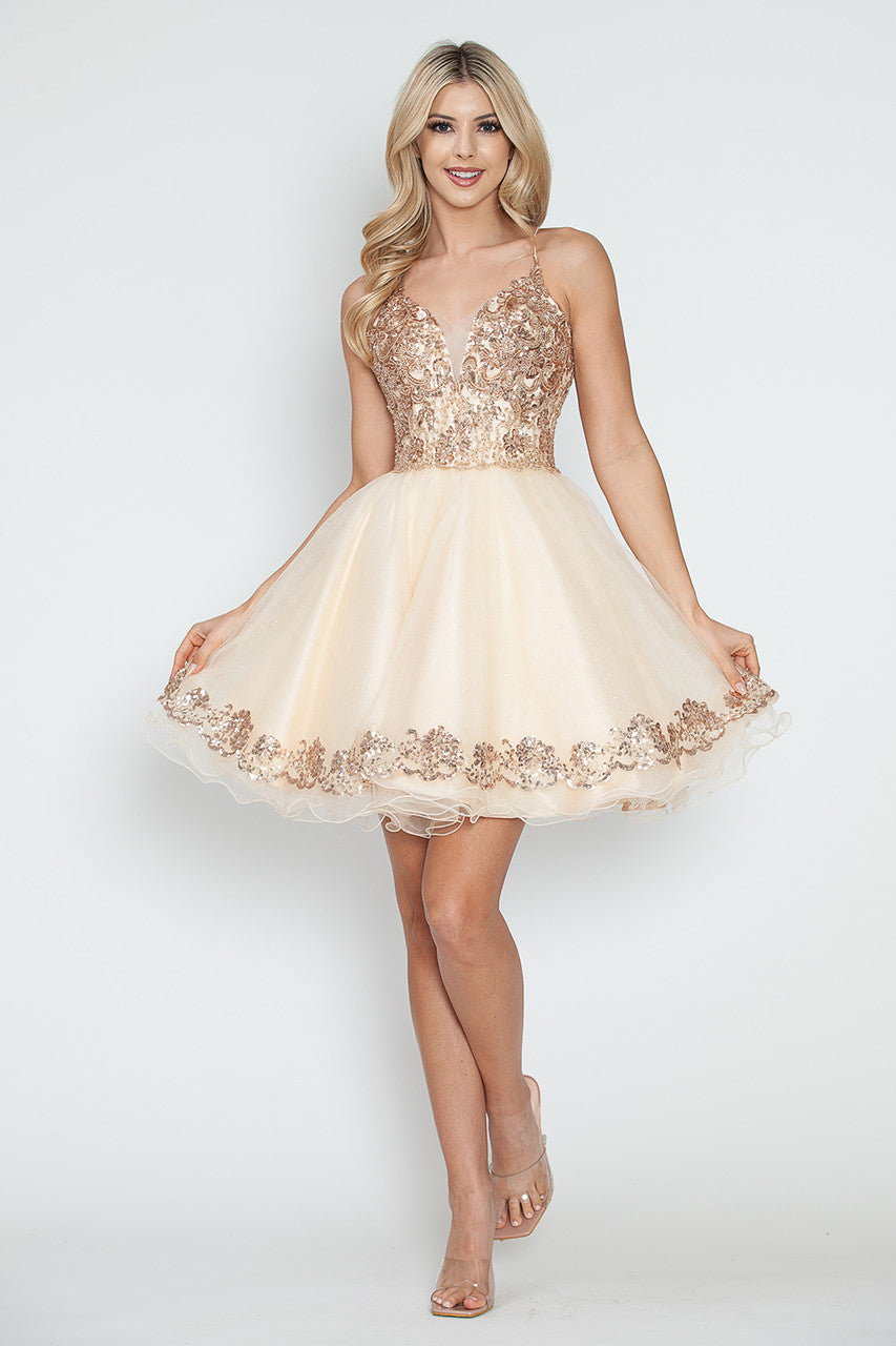 Embroidered Short Sleeveless A-line Dress by Lenovia 8238 - product image 1