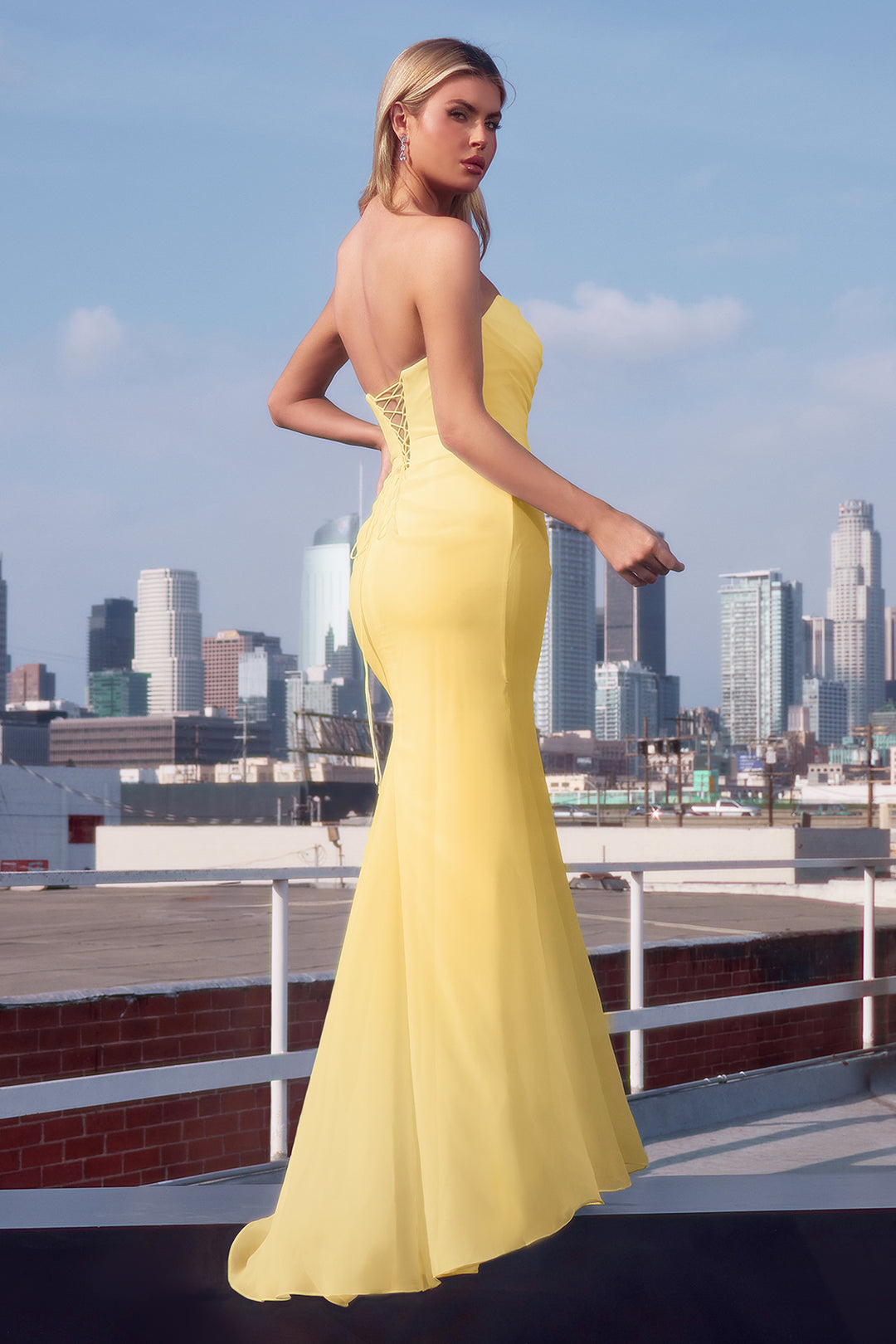 Chiffon Fitted Long Strapless Dress by Ladivine T702