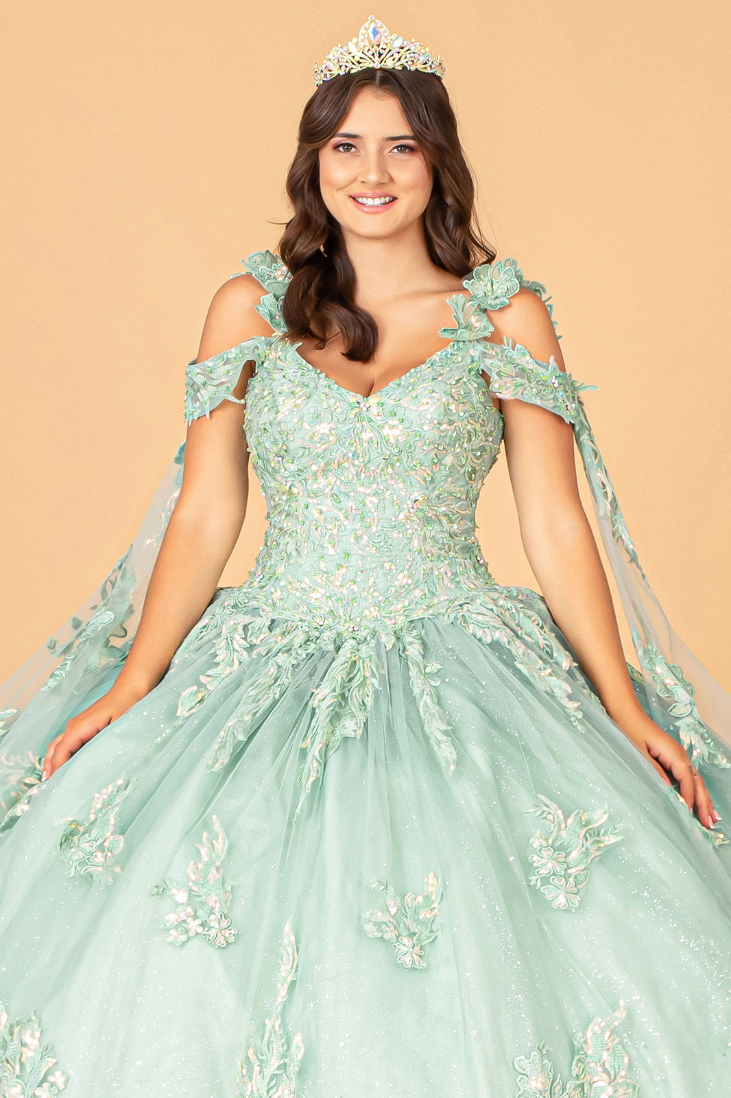 Applique Cape Sleeve Ball Gown by Elizabeth K GL3099 - product image 3