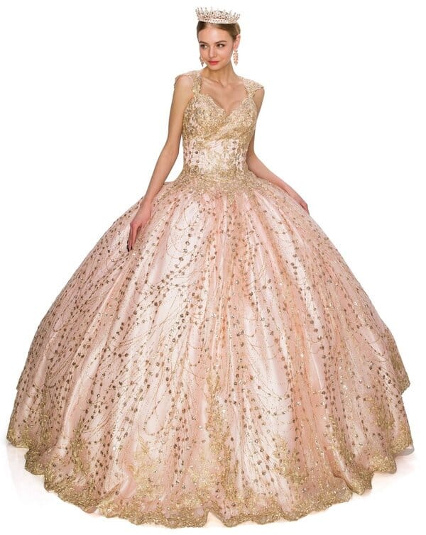 Applique Glitter Ball Gown by Cinderella Couture 8024J - product image 6