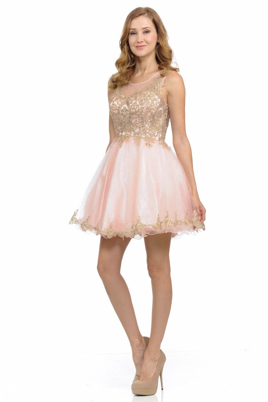 Applique Short Sleeveless A-line Dress by Lenovia 8101 - product image 2