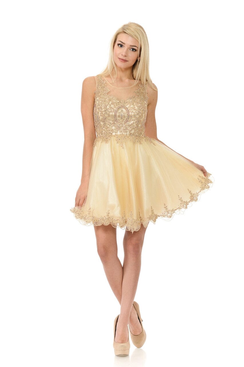 Applique Short Sleeveless A-line Dress by Lenovia 8101 - product image 1