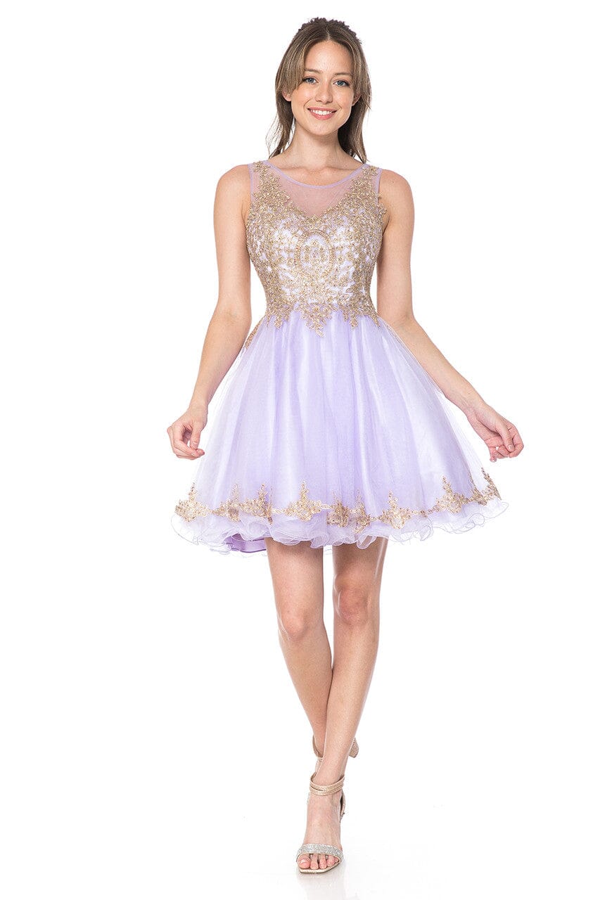 Applique Short Sleeveless A-line Dress by Lenovia 8101 - product image 7