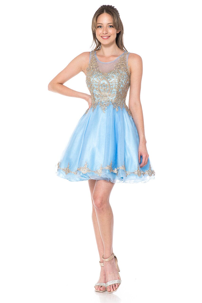 Applique Short Sleeveless A-line Dress by Lenovia 8101 - product image 5