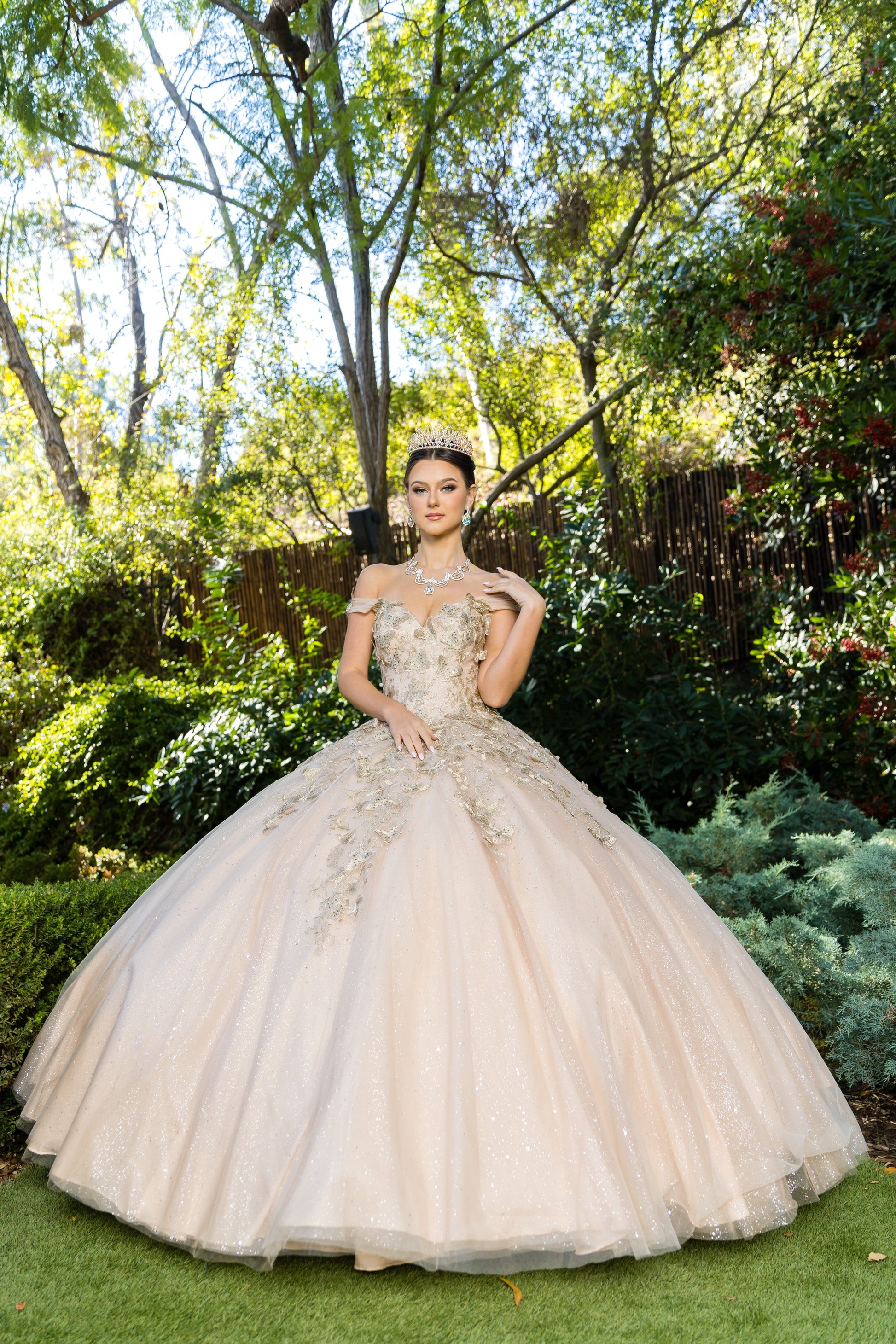 Butterfly Sweetheart Ball Gown by Cinderella Couture 8046J - product image 16