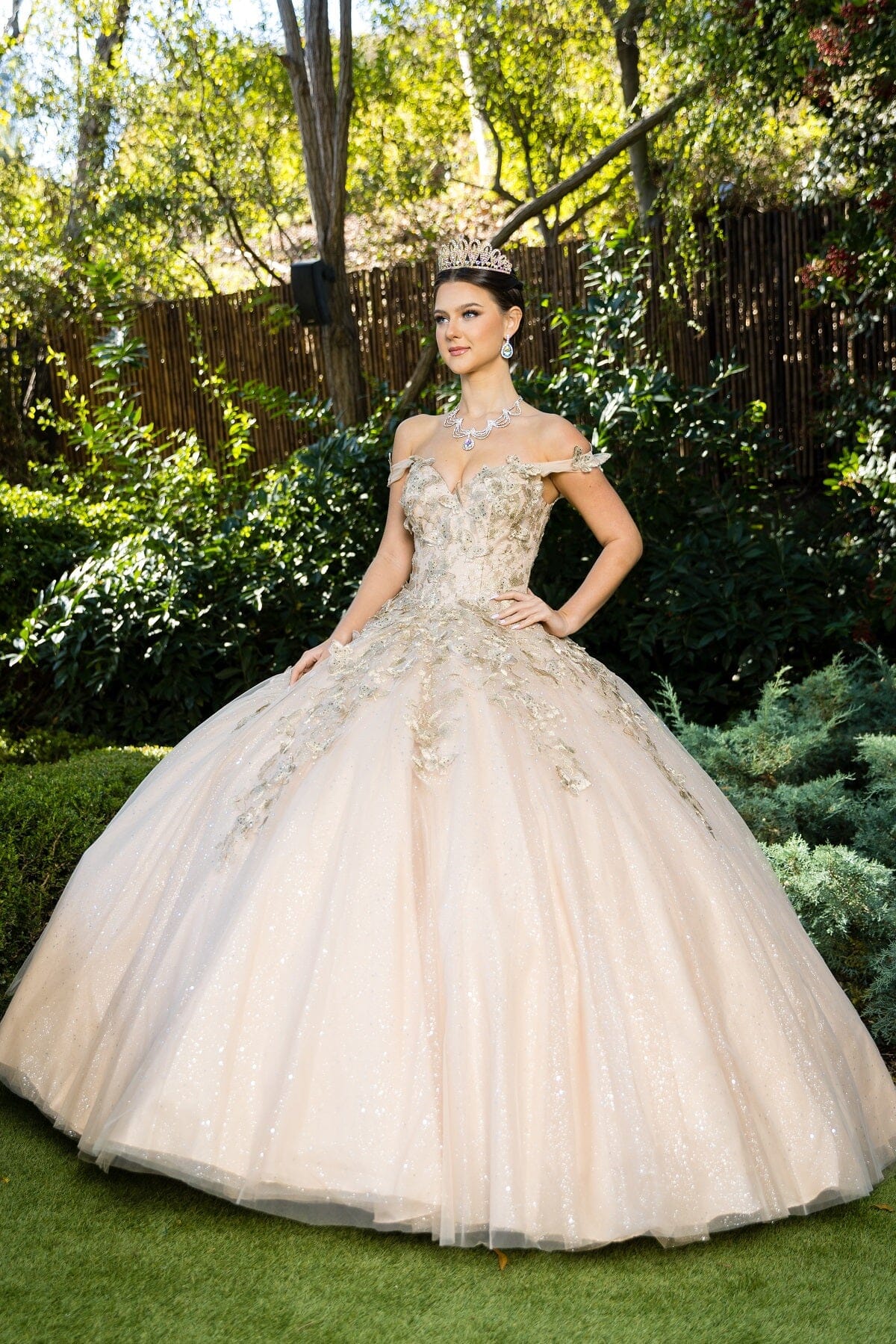 Butterfly Sweetheart Ball Gown by Cinderella Couture 8046J - product image 14
