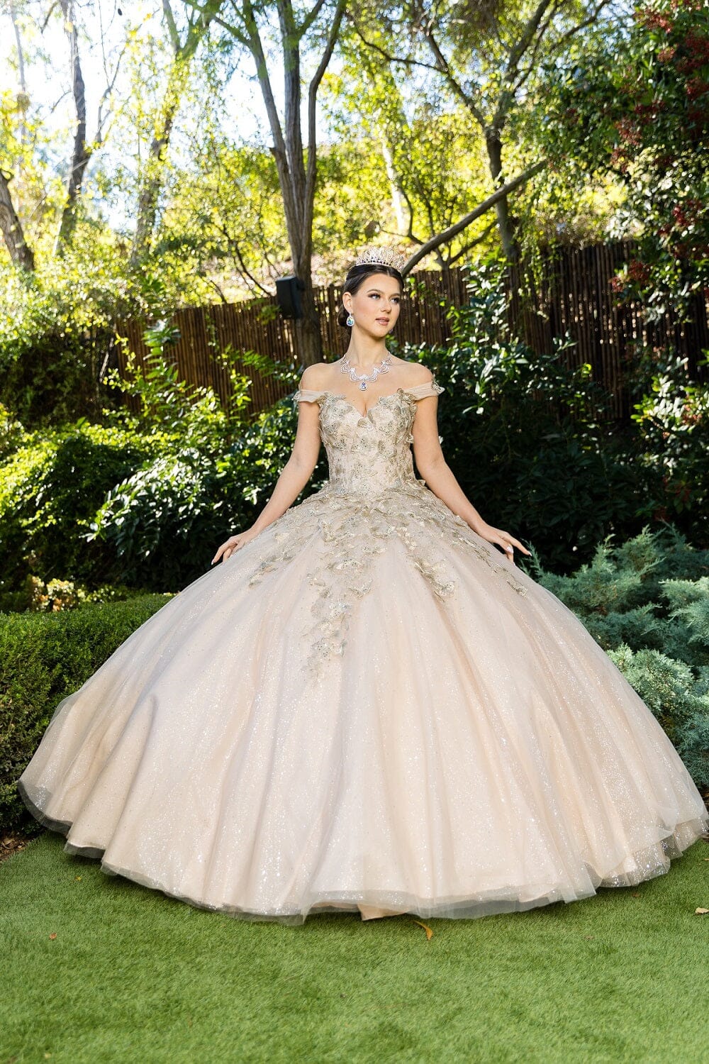 Butterfly Sweetheart Ball Gown by Cinderella Couture 8046J - product image 10