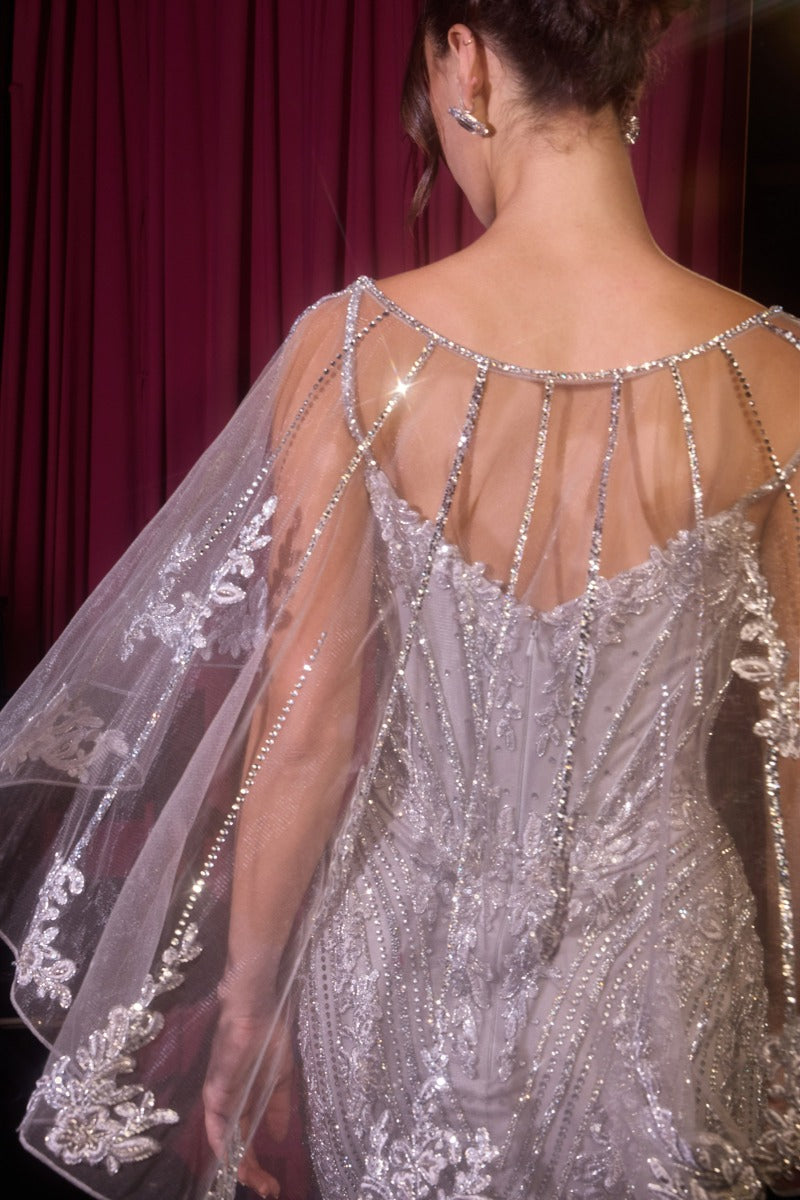 Fitted Metallic Lace Dress with Cape by Ladivine CD637