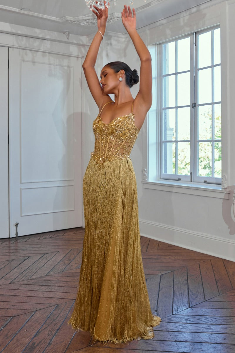 Fitted Fringe Gown with Beaded Bodice by Ladivine CDS580