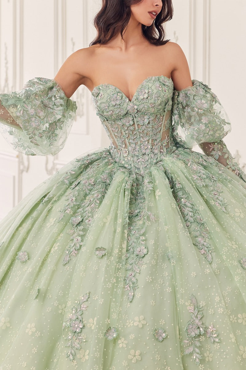Cinderella Divine 15722 quinceañera gown 