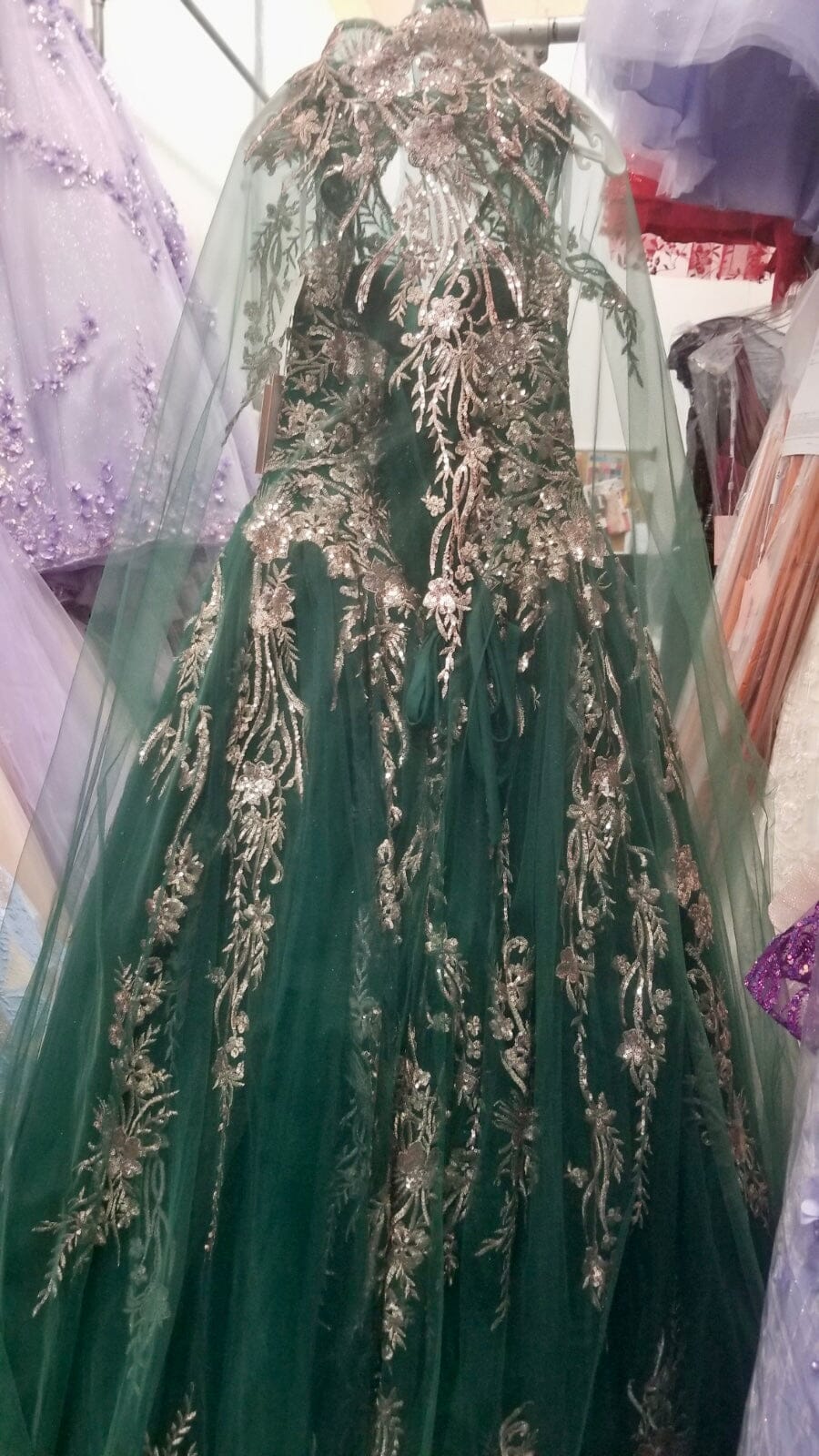 Embroidered Cape Ball Gown by Elizabeth K GL3076 - product image 16