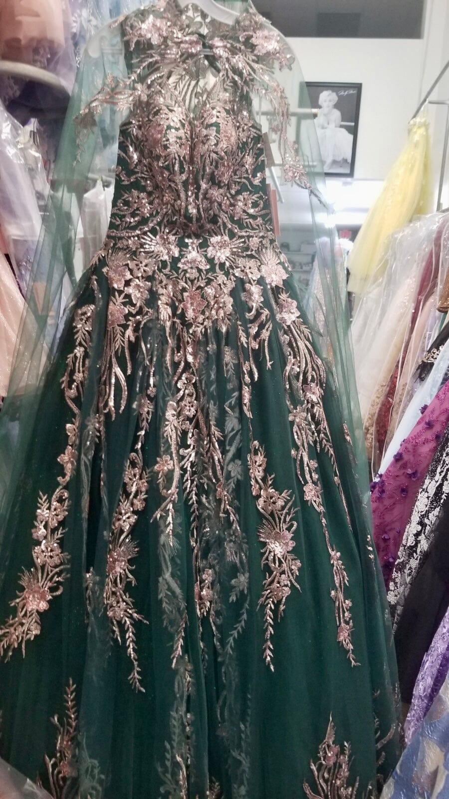 Embroidered Cape Ball Gown by Elizabeth K GL3076 - product image 15