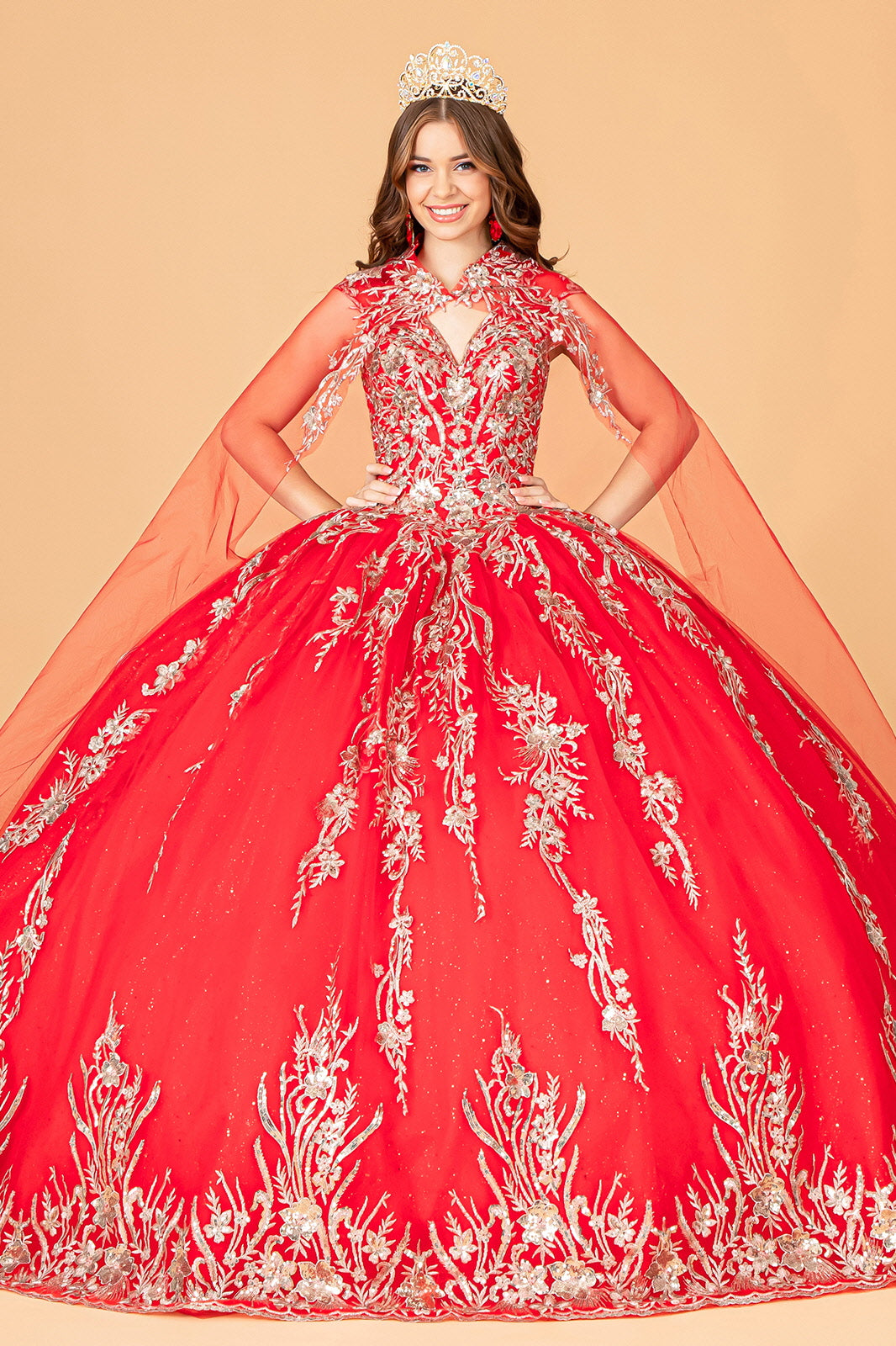 Embroidered Cape Ball Gown by Elizabeth K GL3076 - product image 5