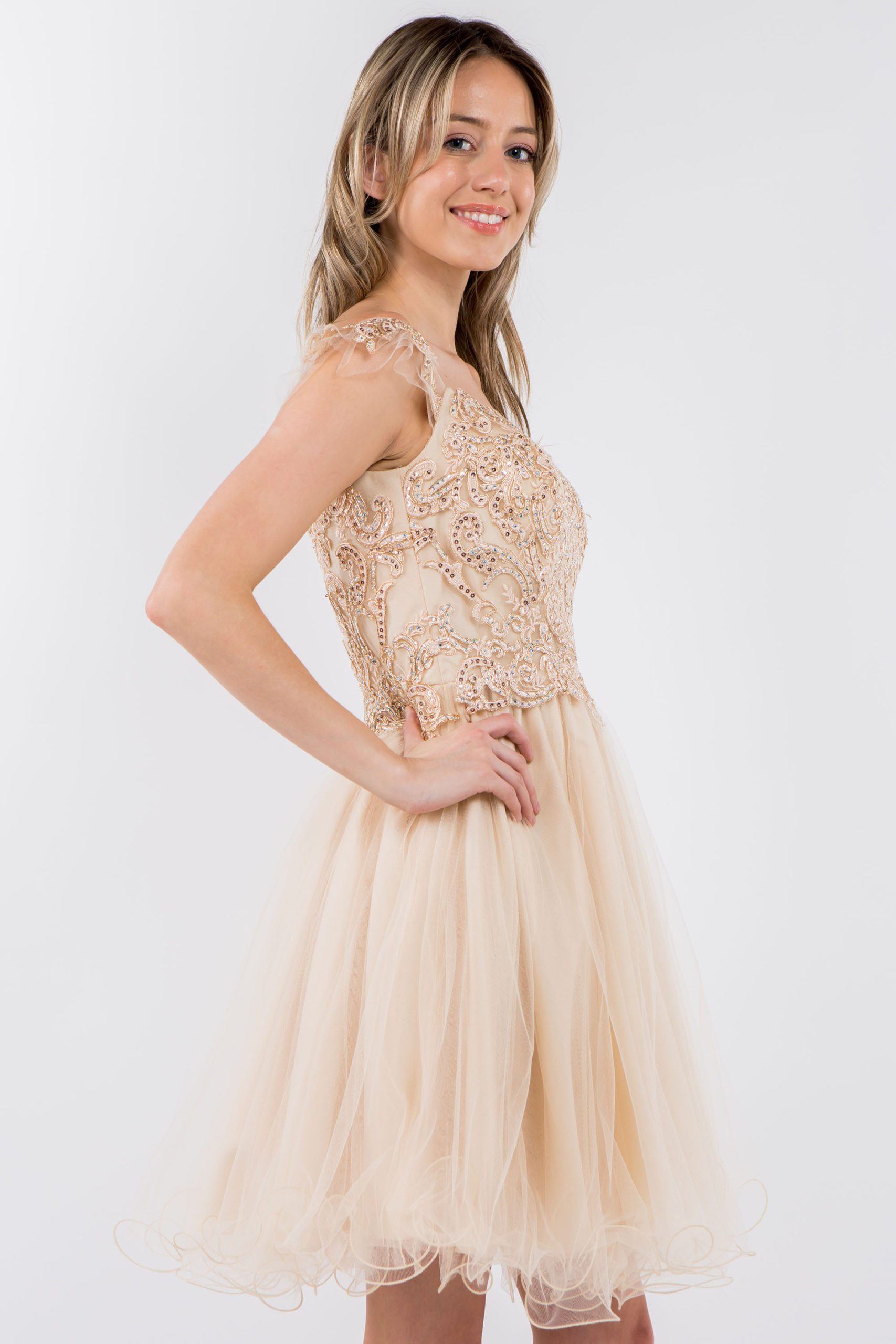 Embroidered Short Ruffled Dress by Elizabeth K GS1966 - product image 19