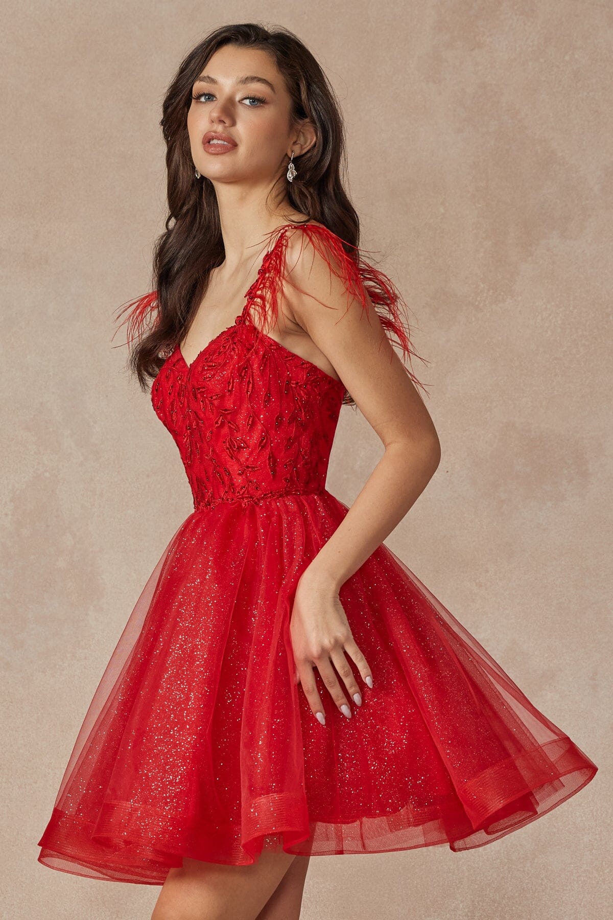 Embroidered Short Sleeveless Feather Dress by Juliet 881 - product image 19
