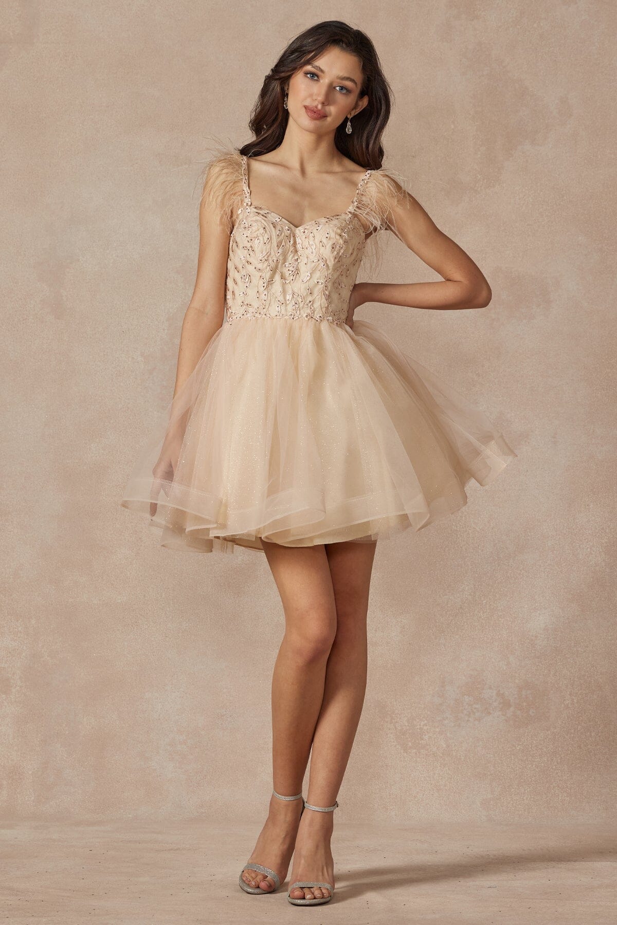 Embroidered Short Sleeveless Feather Dress by Juliet 881 - product image 13