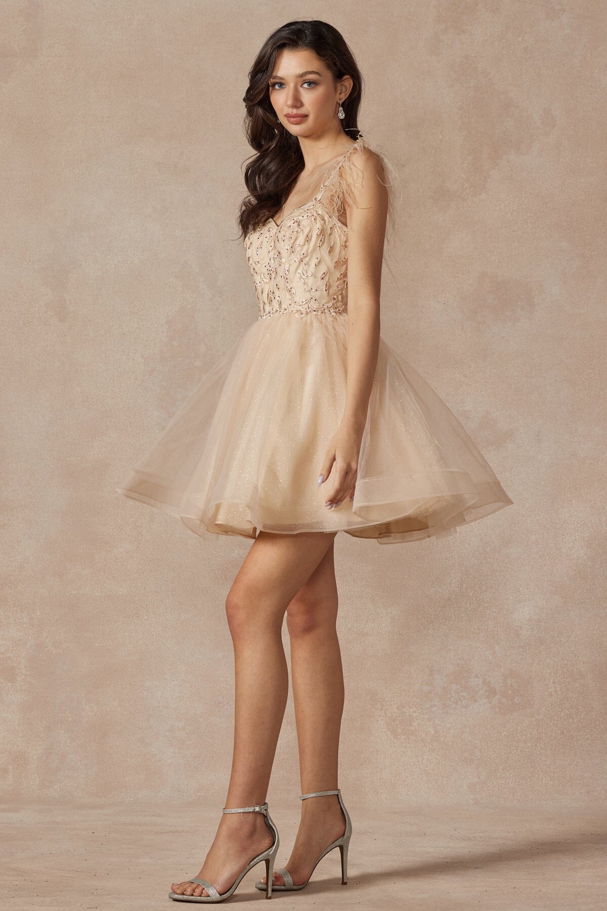 Embroidered Short Sleeveless Feather Dress by Juliet 881 - product image 14