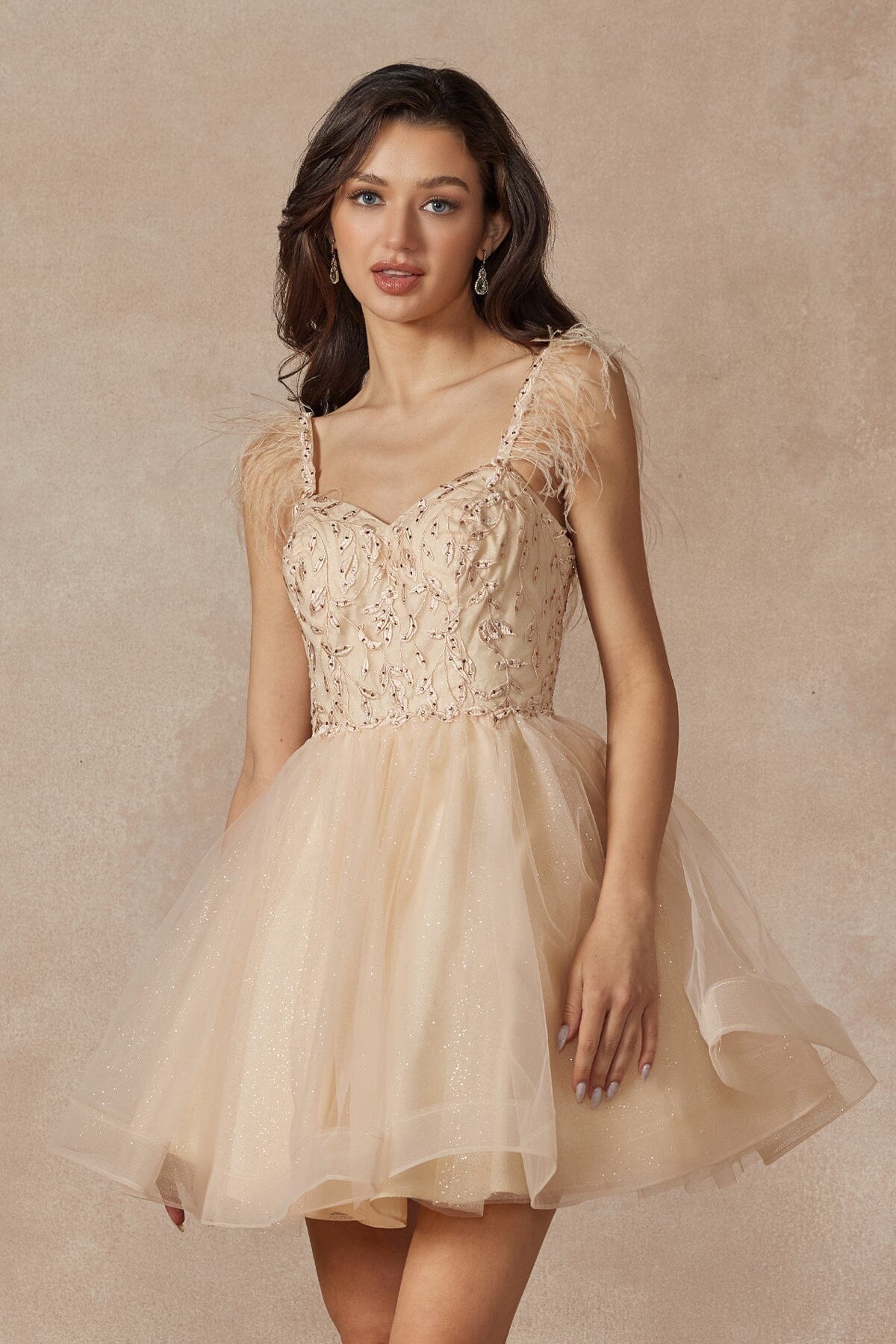 Embroidered Short Sleeveless Feather Dress by Juliet 881 - product image 11