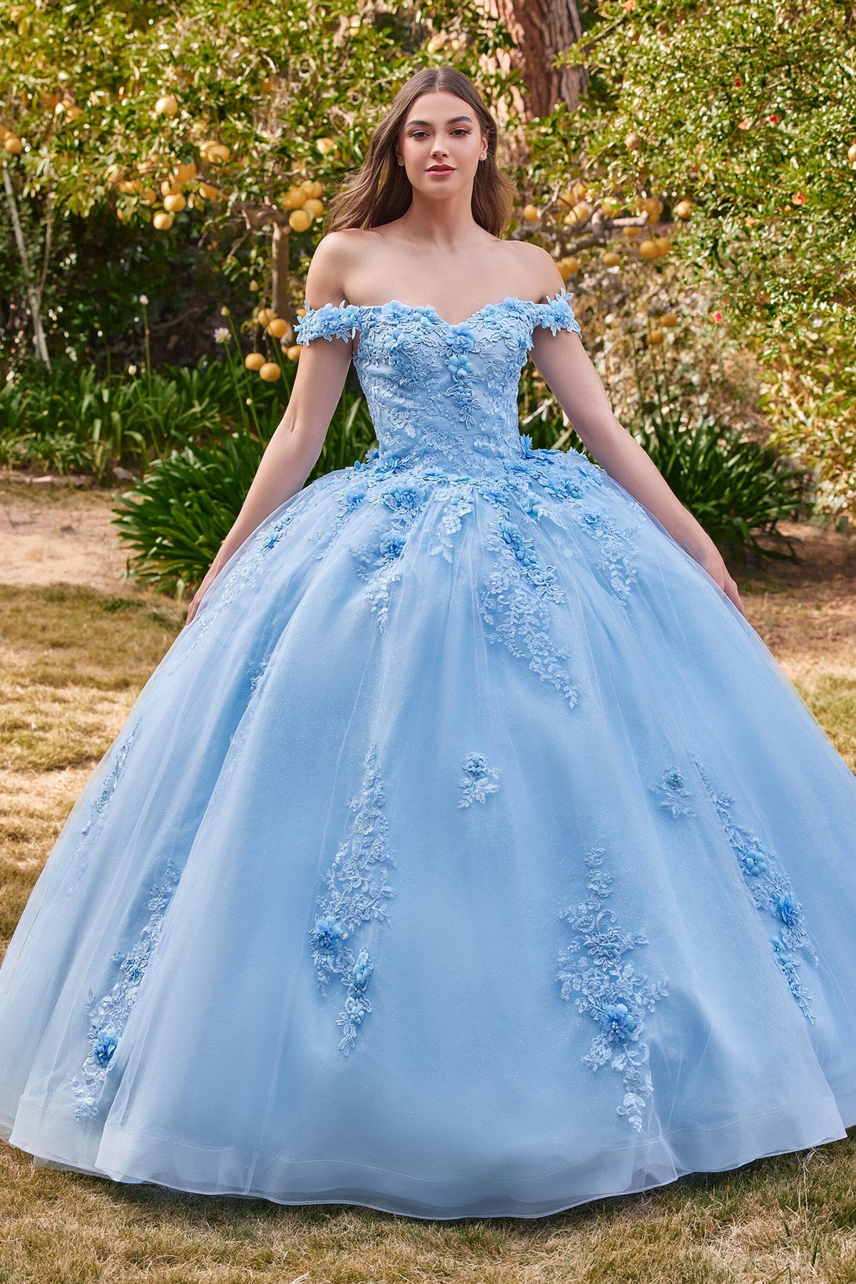 Floral Applique Off Shoulder Ball Gown by Ladivine 15702 - product image 13
