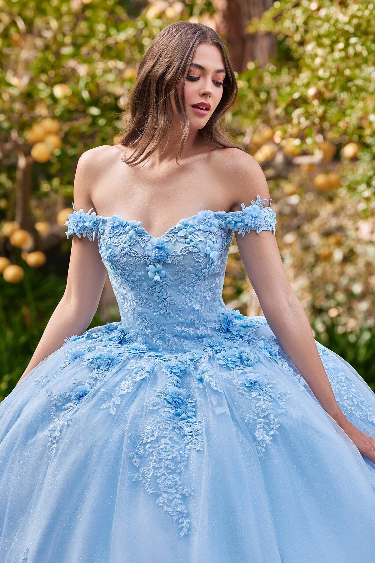 Floral Applique Off Shoulder Ball Gown by Ladivine 15702 - product image 12
