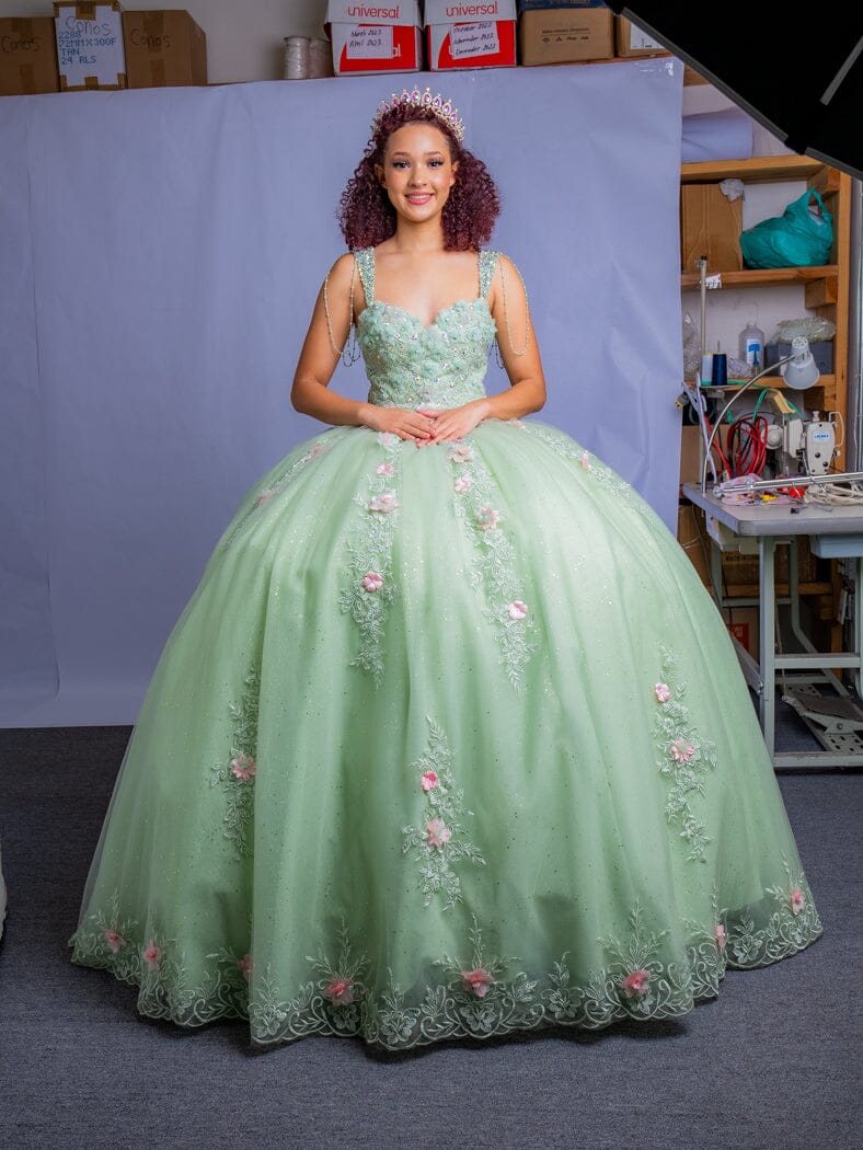 Floral Applique Sleeveless Ball Gown by Calla SCL-30011 - product image 7
