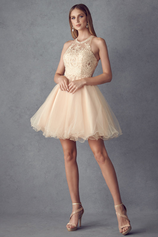 Lace Applique Short Halter Dress by Juliet 826 - product image 6