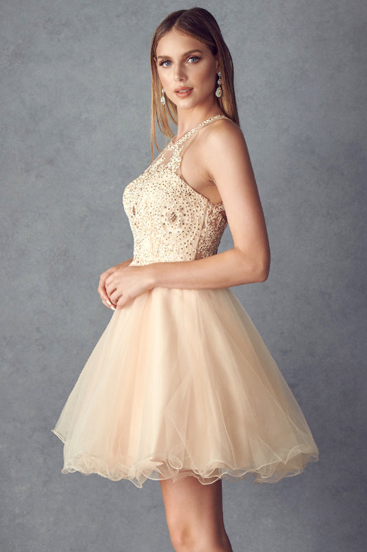 Lace Applique Short Halter Dress by Juliet 826 - product image 7