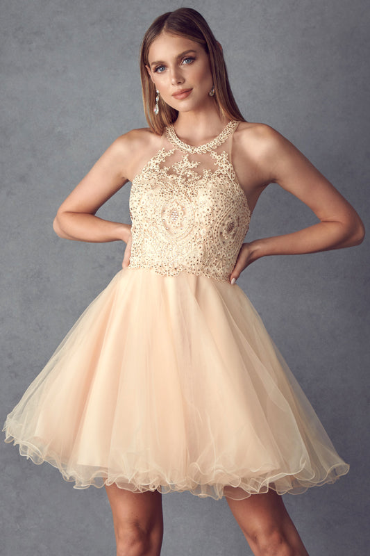 Lace Applique Short Halter Dress by Juliet 826 - product image 5