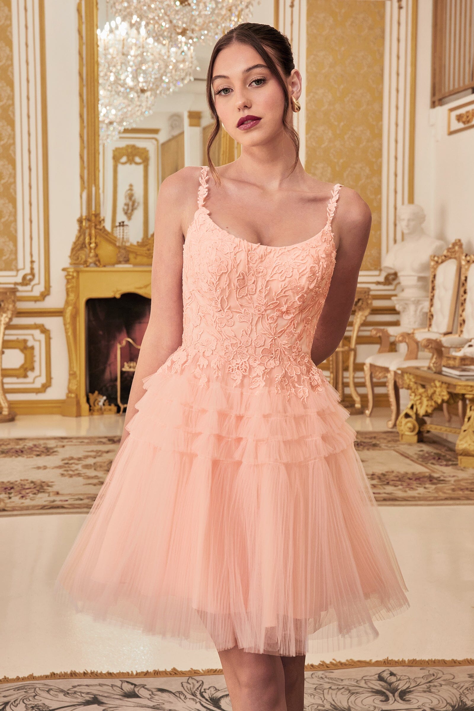 Pleated Short Sleeveless Applique Dress by Ladivine 9310 - product image 3