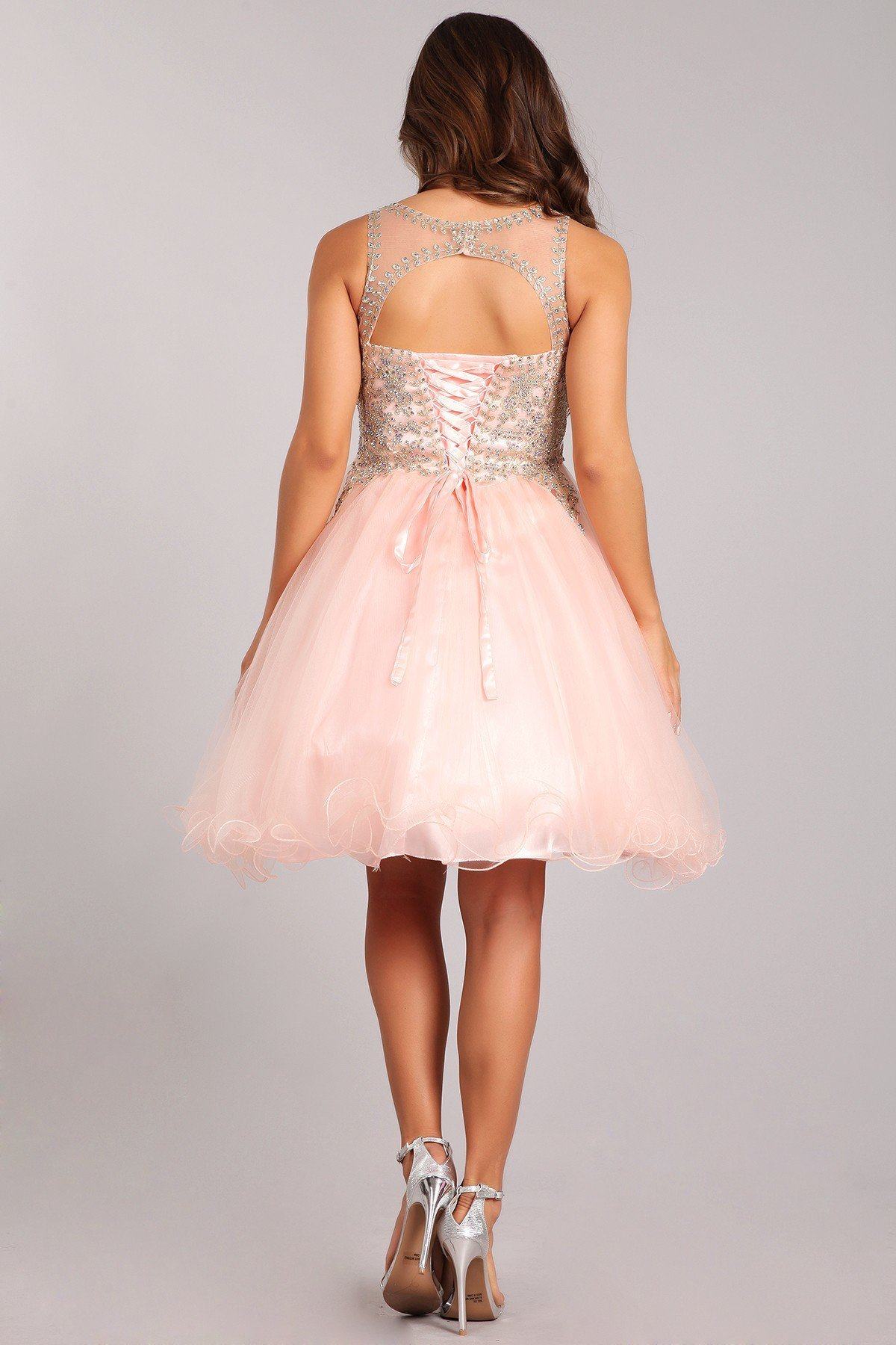 Short Ruffled Dress with Gold Applique Top by Cinderella Couture 5017 - product image 2