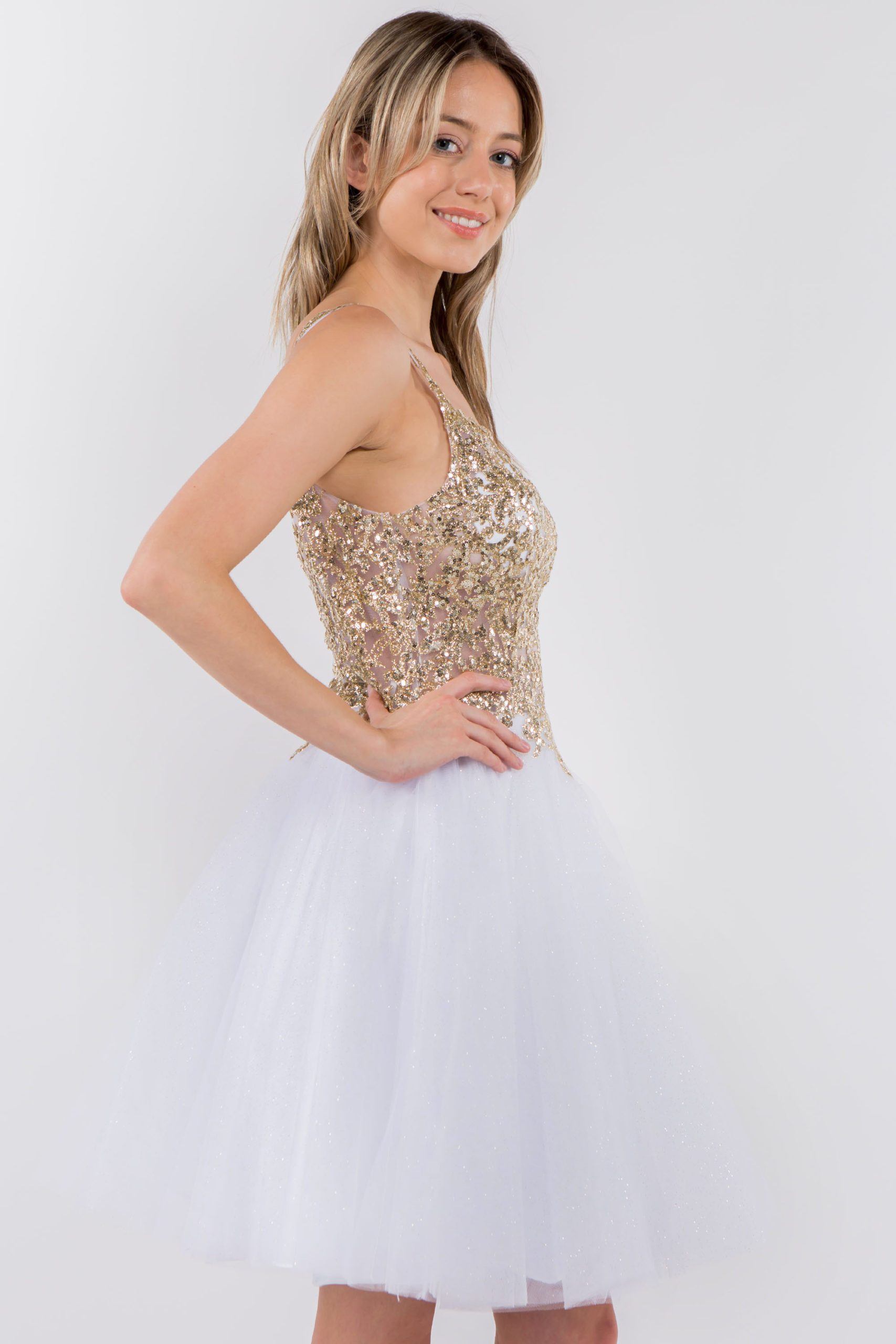 Short Sheer Bodice Glitter Dress by Elizabeth K GS1967 - product image 19