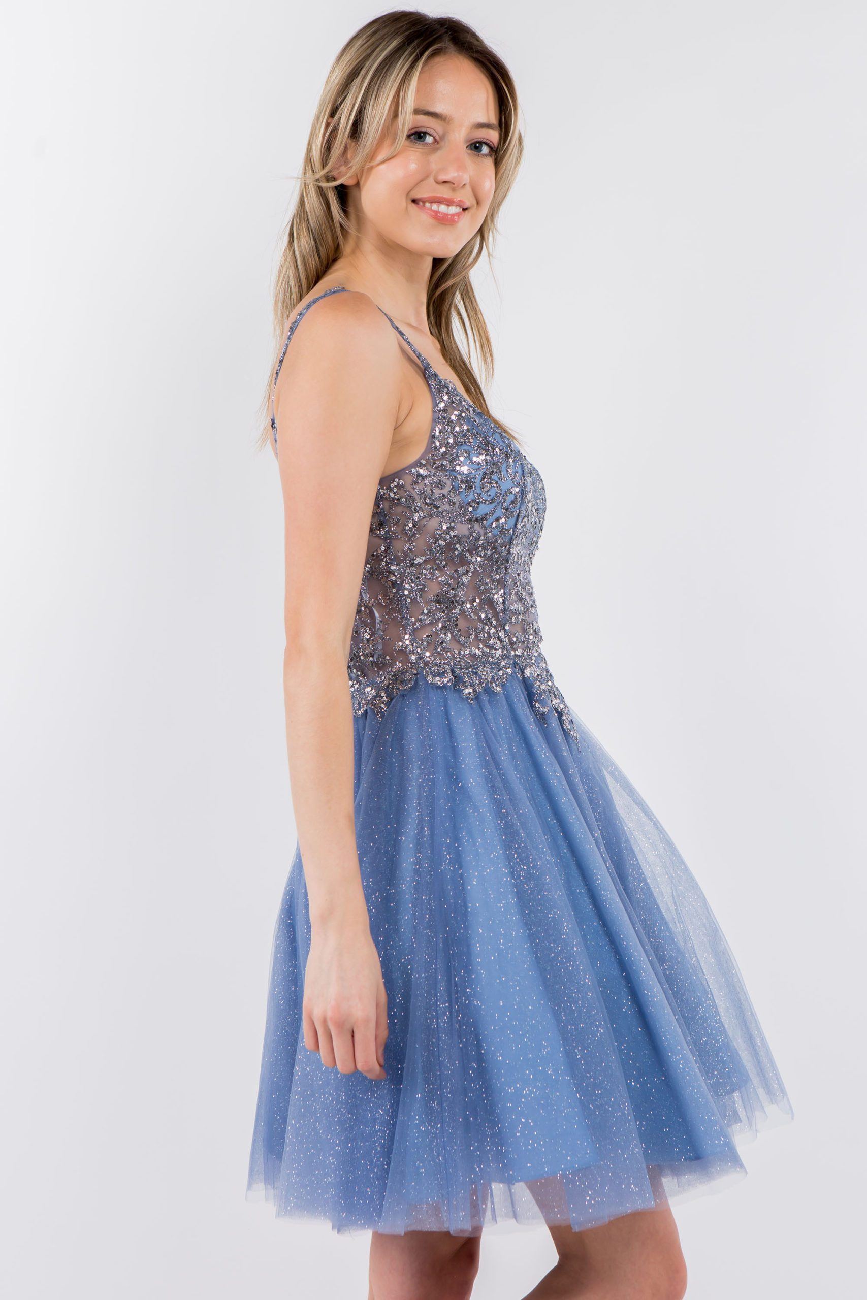 Short Sheer Bodice Glitter Dress by Elizabeth K GS1967 - product image 4