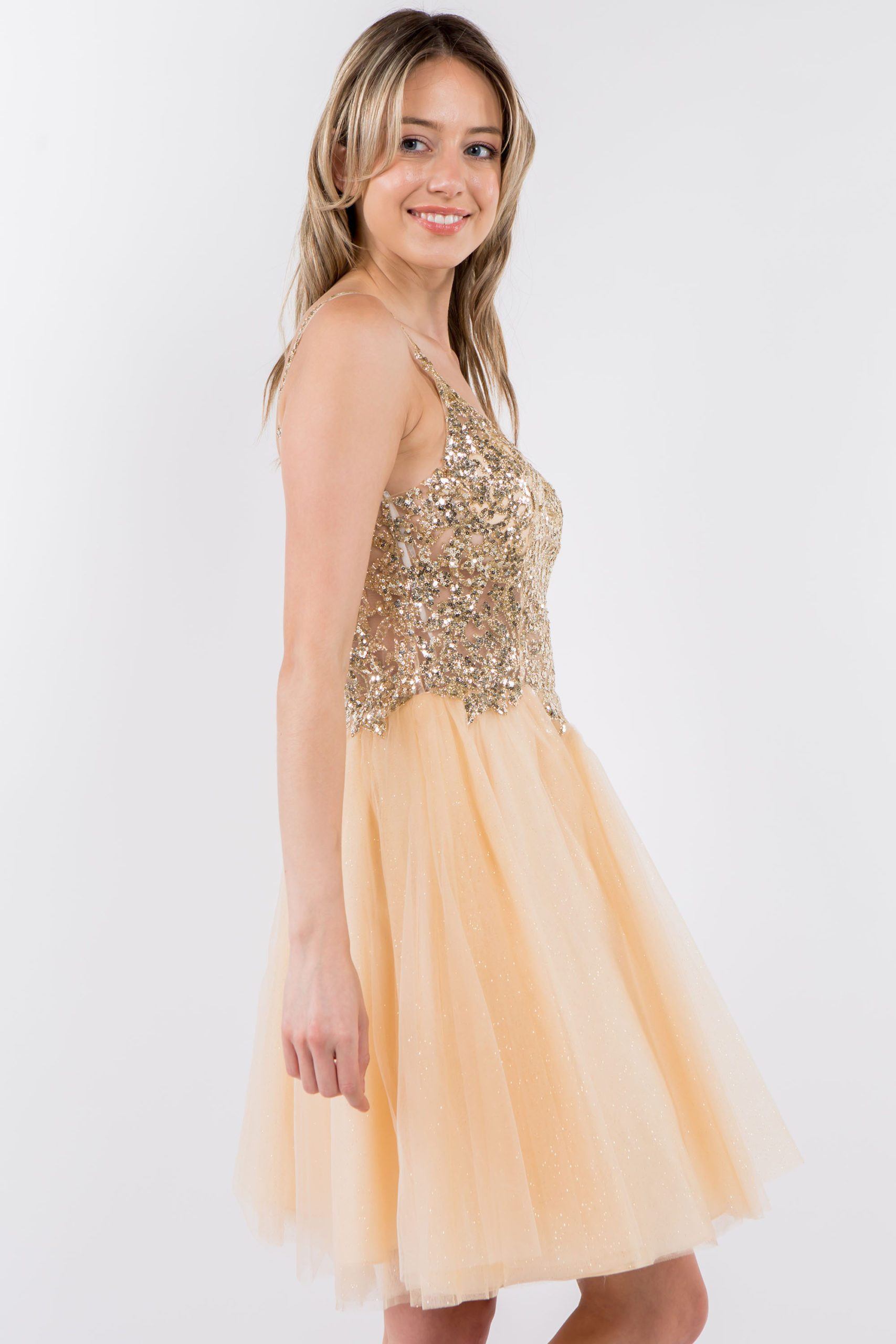 Short Sheer Bodice Glitter Dress by Elizabeth K GS1967 - product image 14