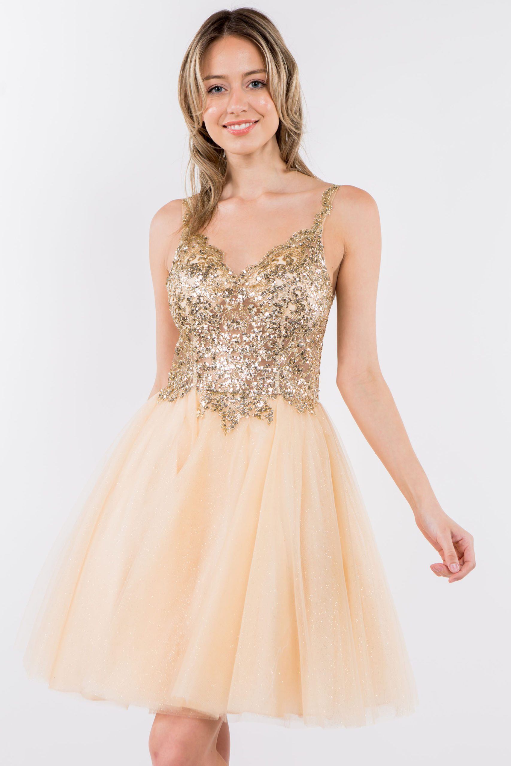 Short Sheer Bodice Glitter Dress by Elizabeth K GS1967 - product image 13