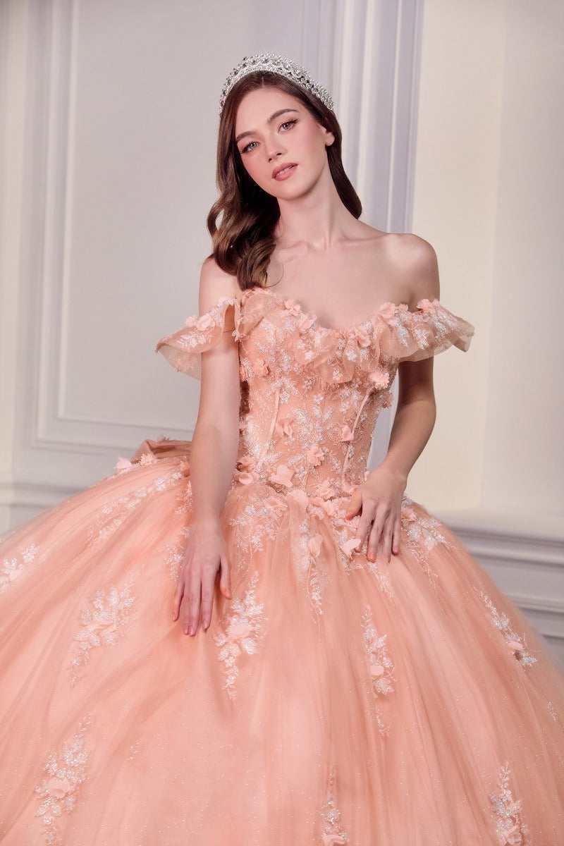 Designer 15731 gown BLUSH