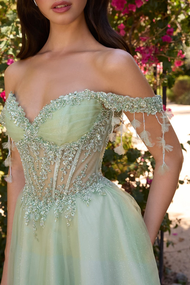Designer CD0247 gown SAGE