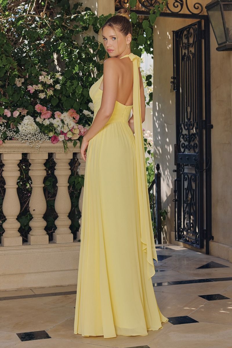 Chiffon Halter V-Neck A-line Gown by Amoris T715 - image 2